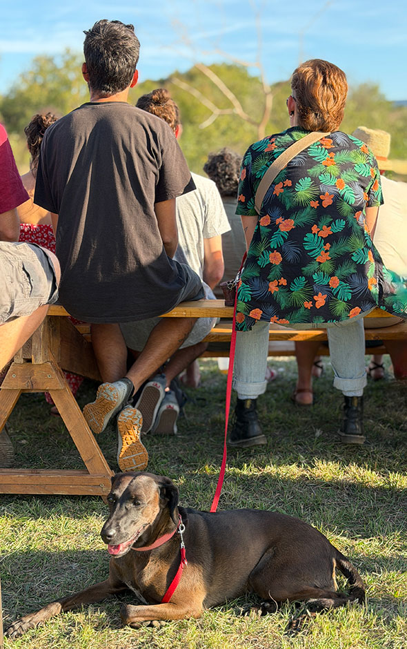 20sept25_Notre-Dame-de-Londres_credit_Gaelle-Berrehouc