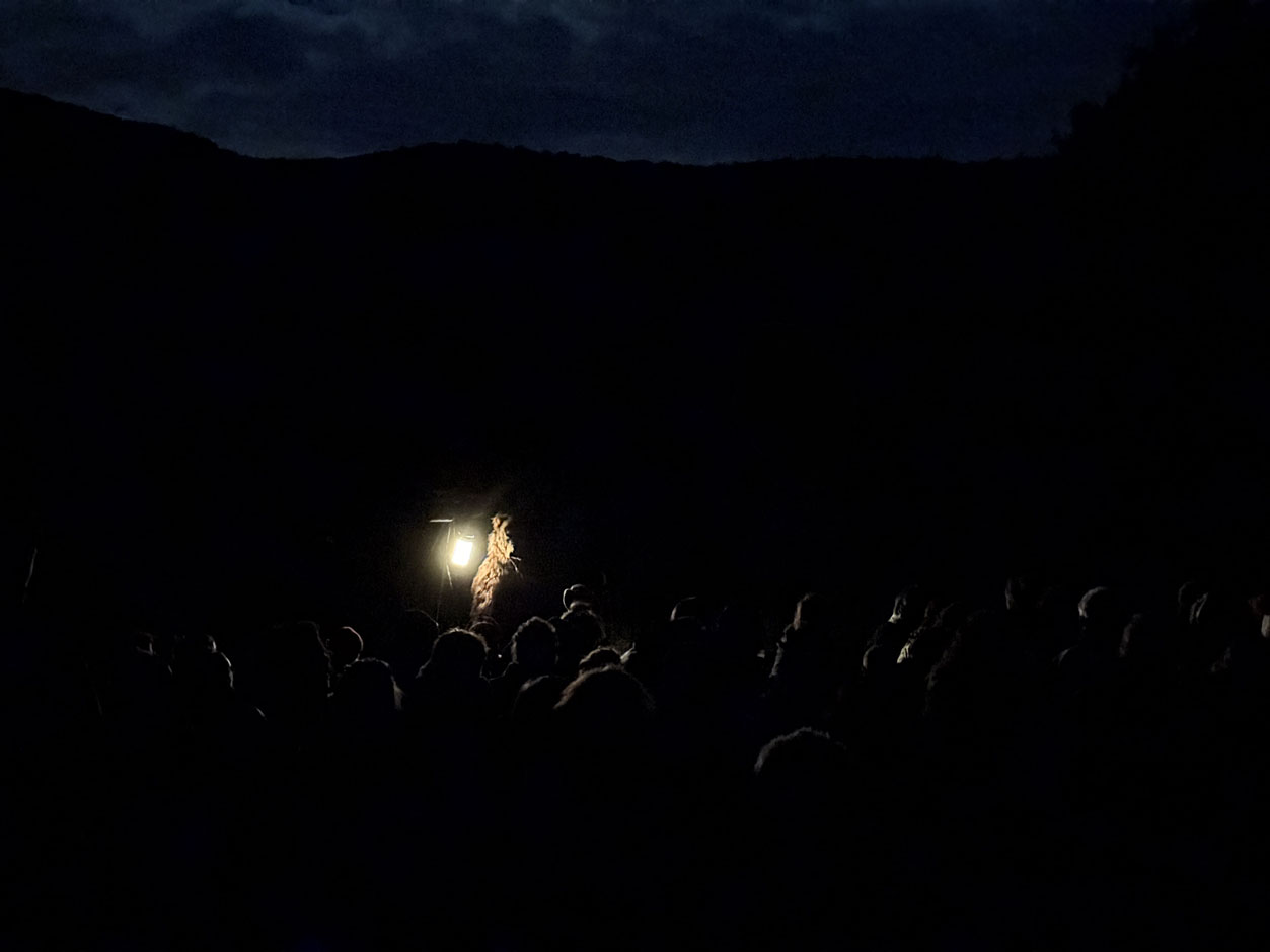 Melando_20250507_106