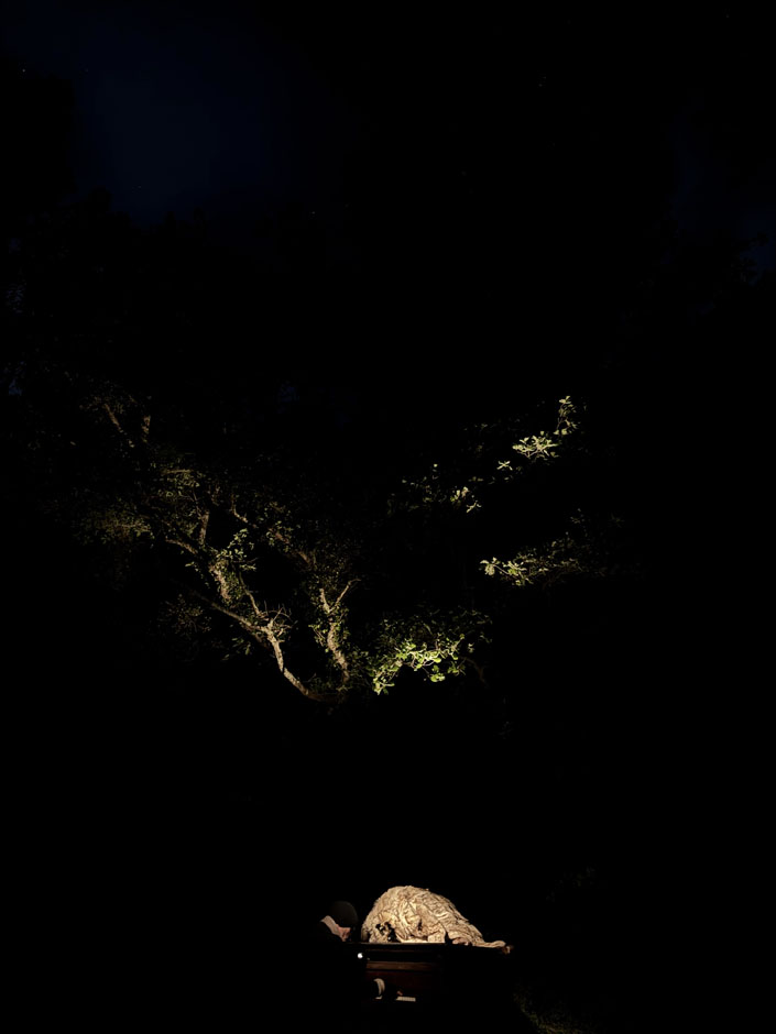 Melando_20250507_112