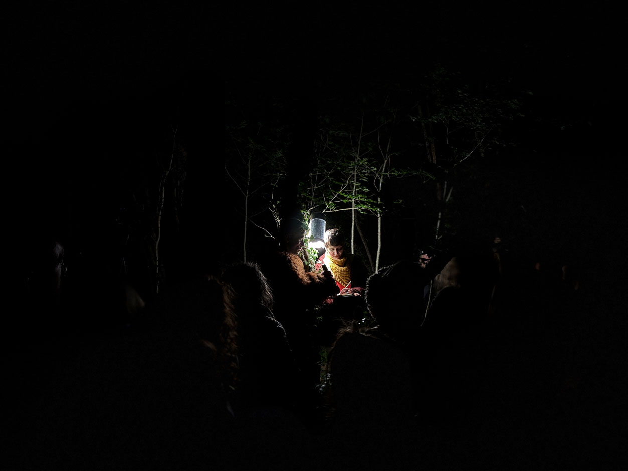 Melando_20250507_131