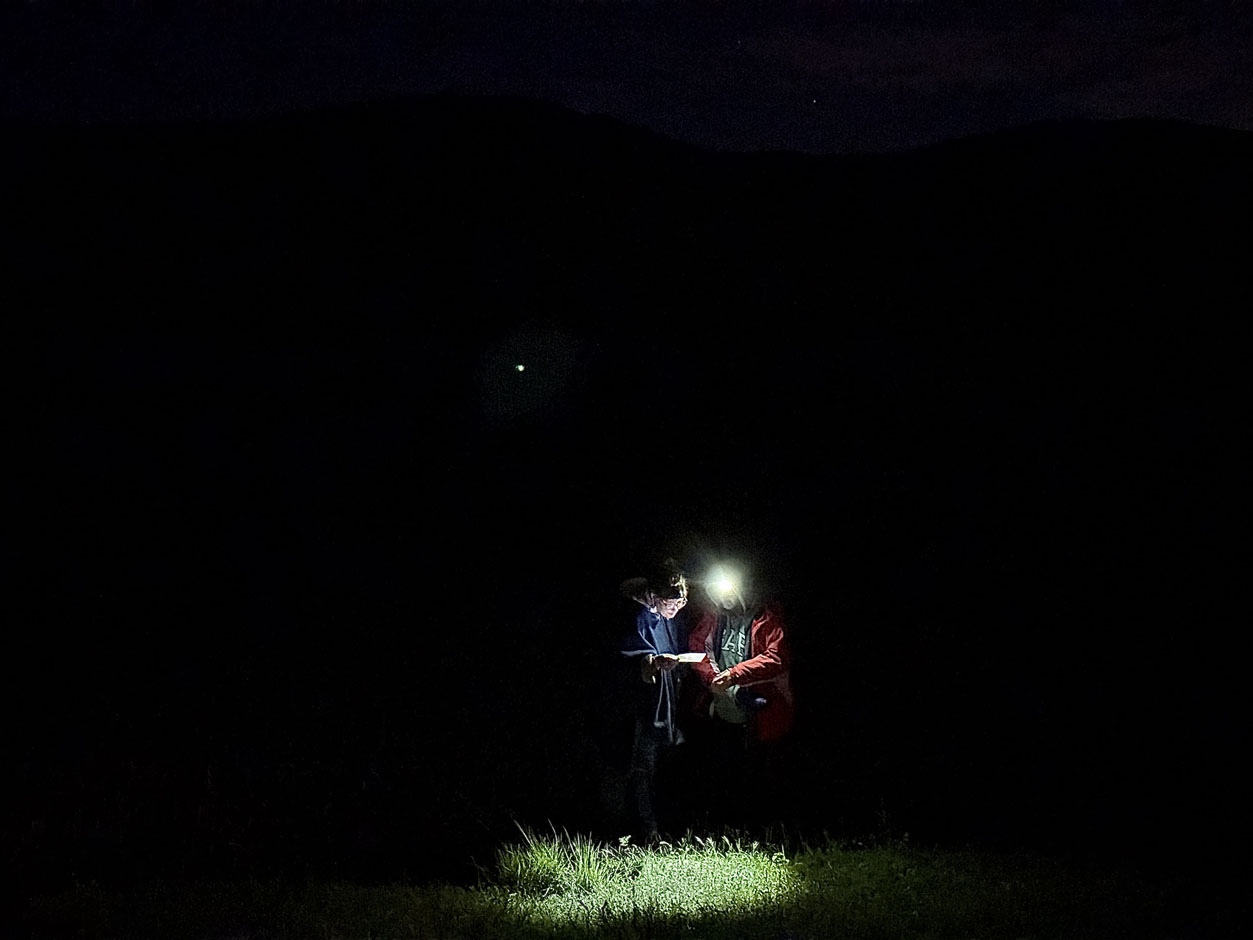 Melando_20250507_133