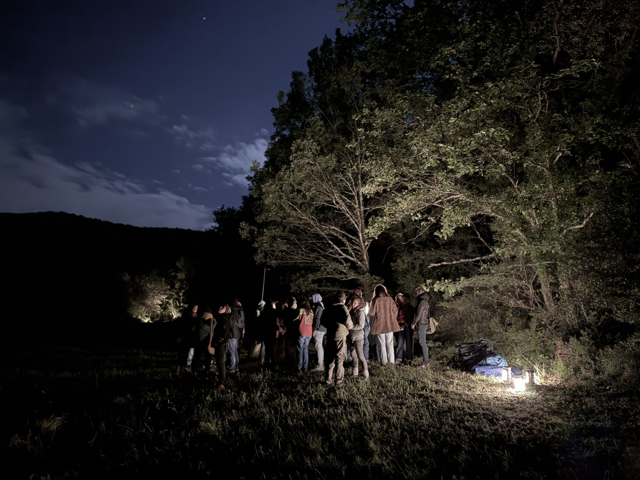 Melando_20250507_137